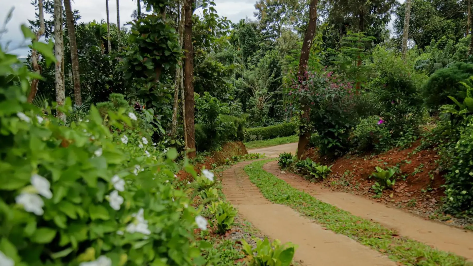 Mahika Heritage Villa Panamaram